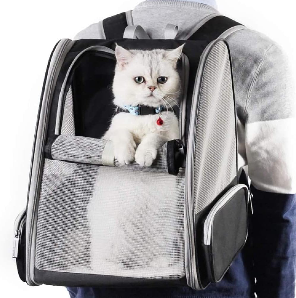 Haustier-Rucksack, Grau L 42 x B 32 x H 38 cm