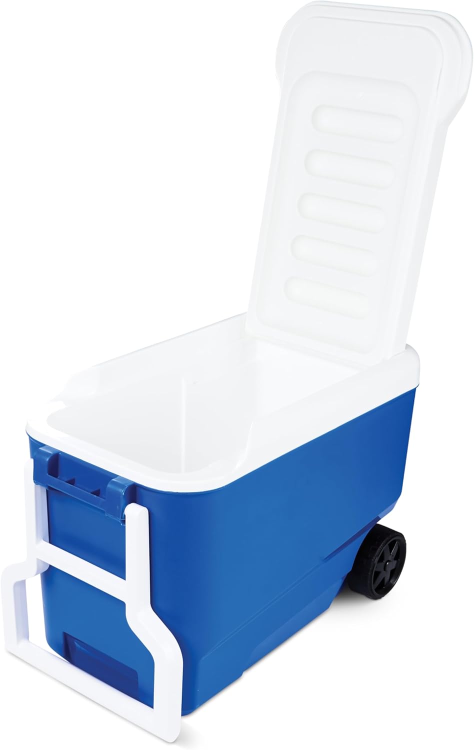 Passiv-Kühlbox Wheelie Cool 38 mit Rollen