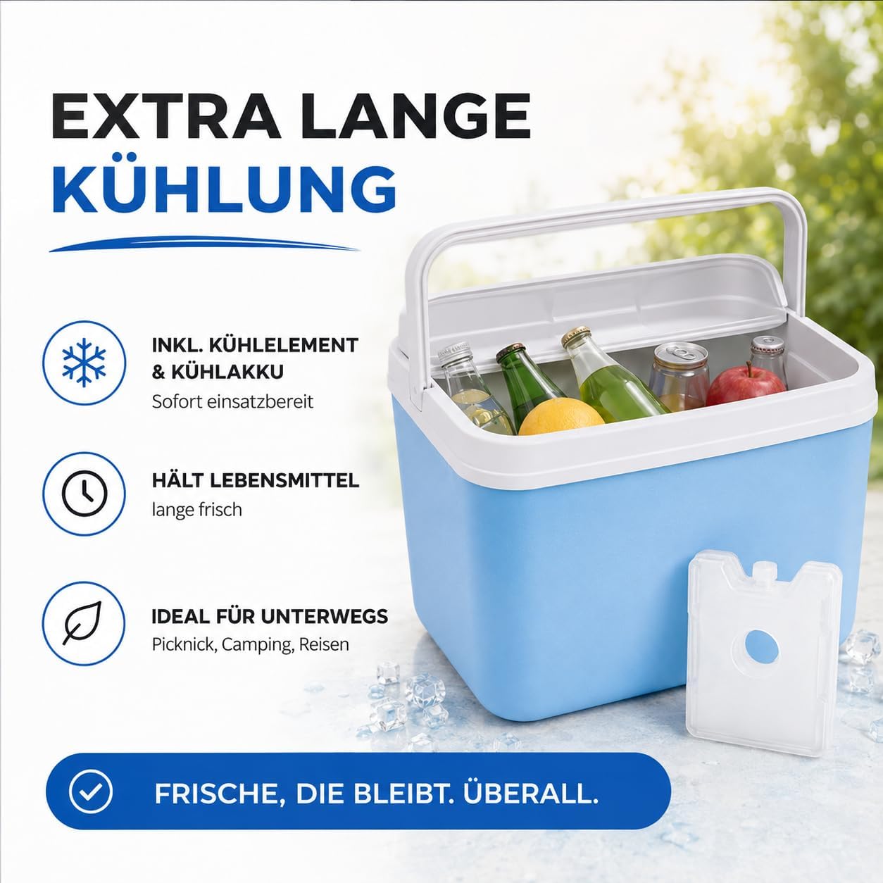 Kühlbox mit Kühlelement, Blau
