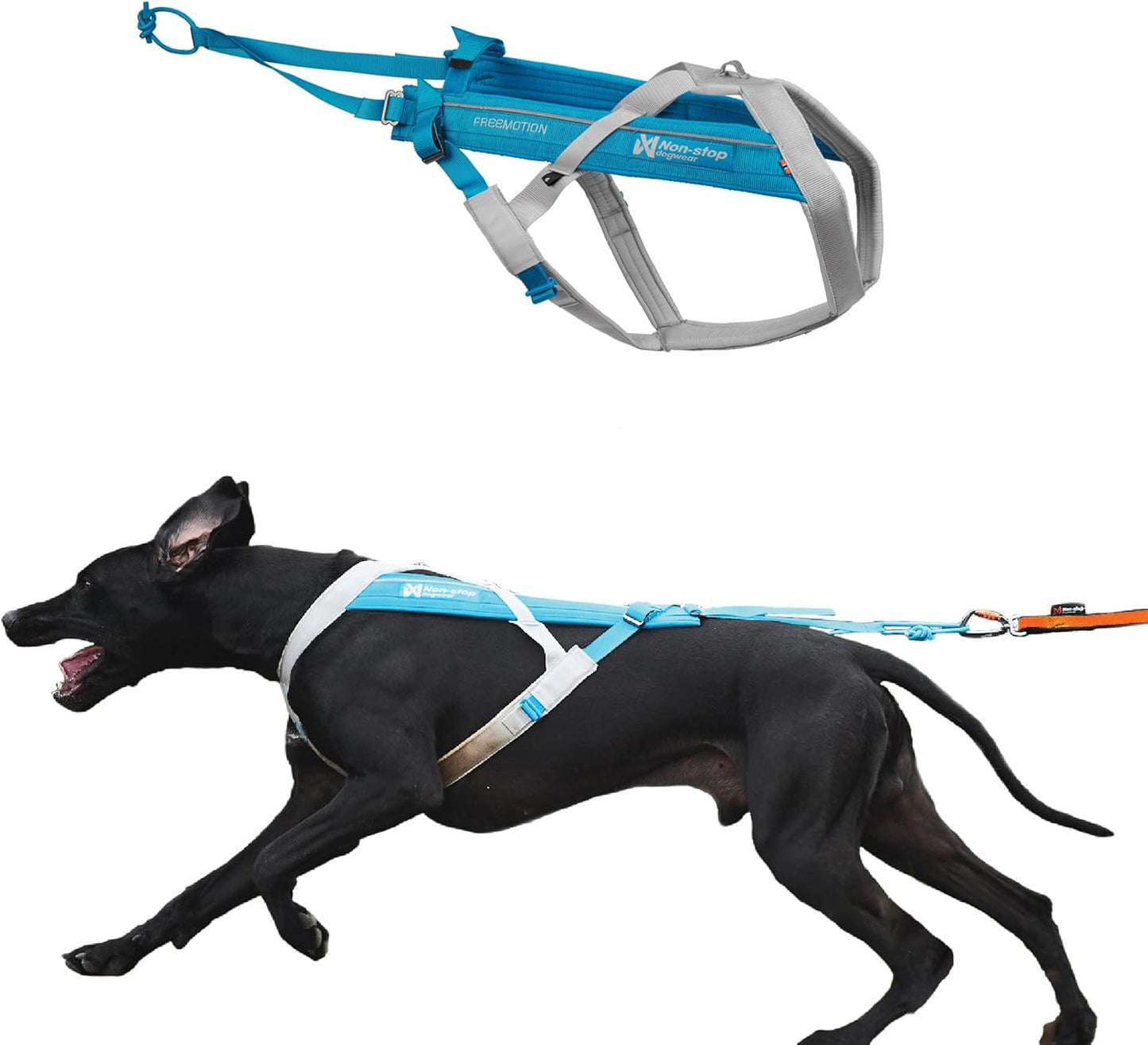 Freemotion Harness 5.0, gray/blue 8