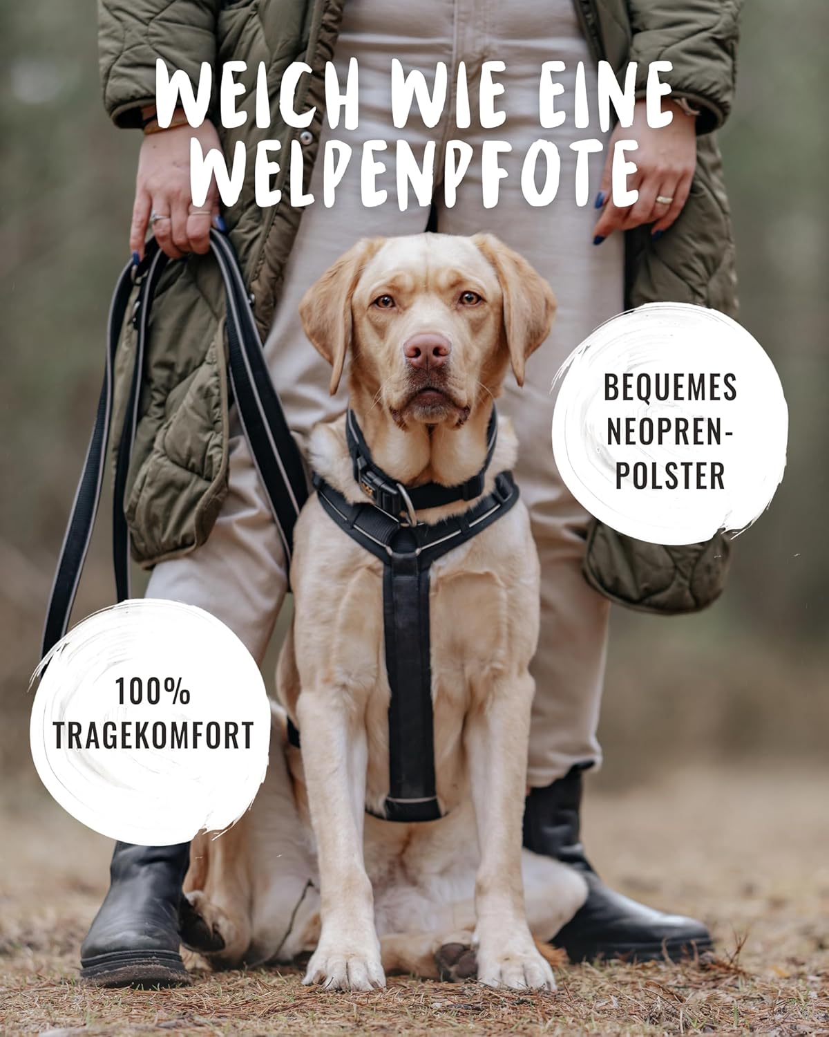 Hundegeschirr Paola mit Reflektoren und Haltegriff, S / Schwarz-Reflektierend