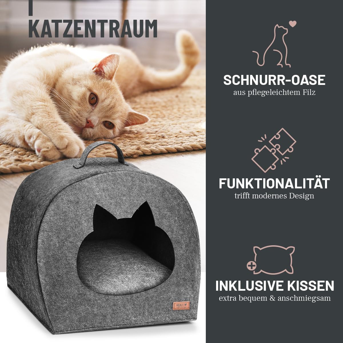 Schnurr-Oase Katzenhaus, Schnurr-Oase
