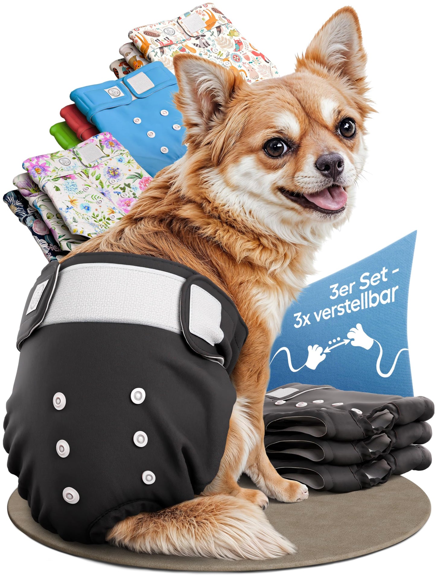 Hundewindeln für Hündinnen, 3 Stück, hochabsorbierend, Schwarz XS (21 - 29cm)