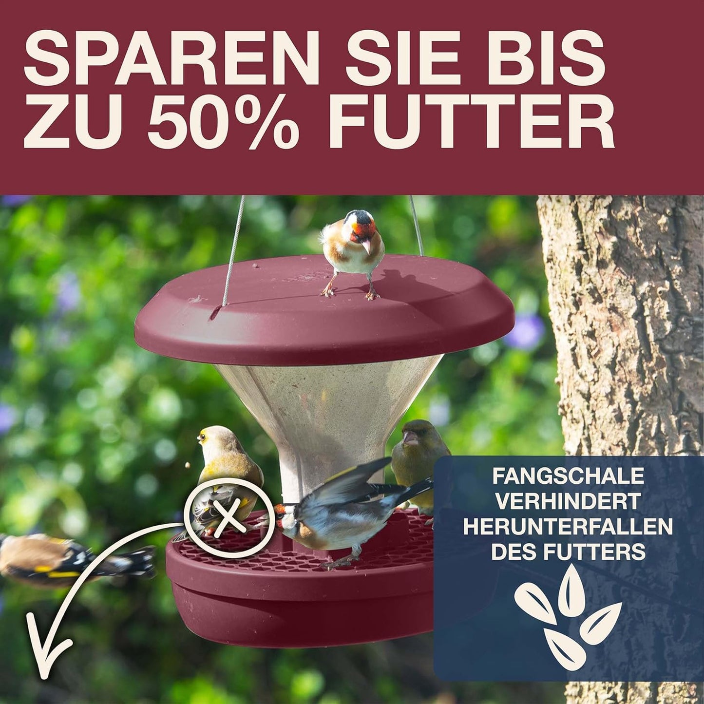 Vogelfutterhaus Davos, Burgund Davos