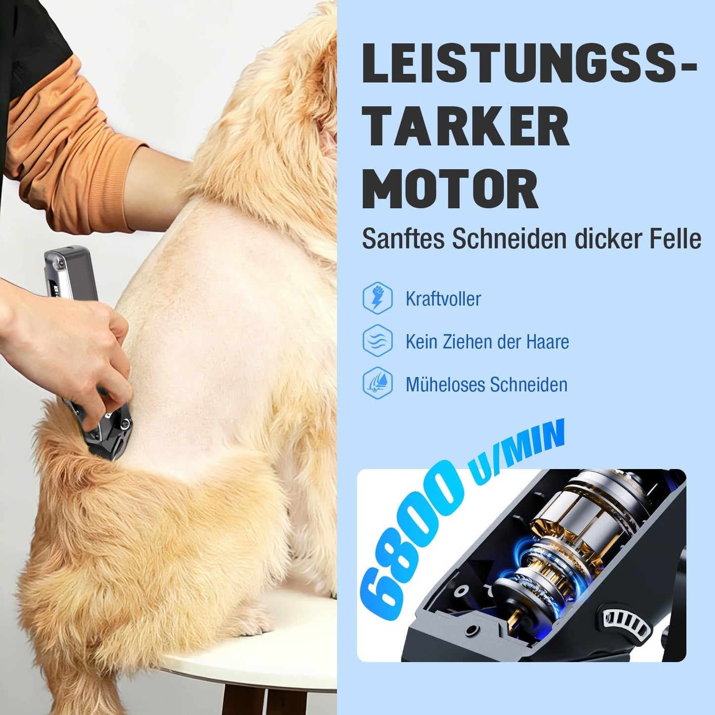 Hundeschermaschine mit Ersatzklinge und Aufsteckkämmen, Silber