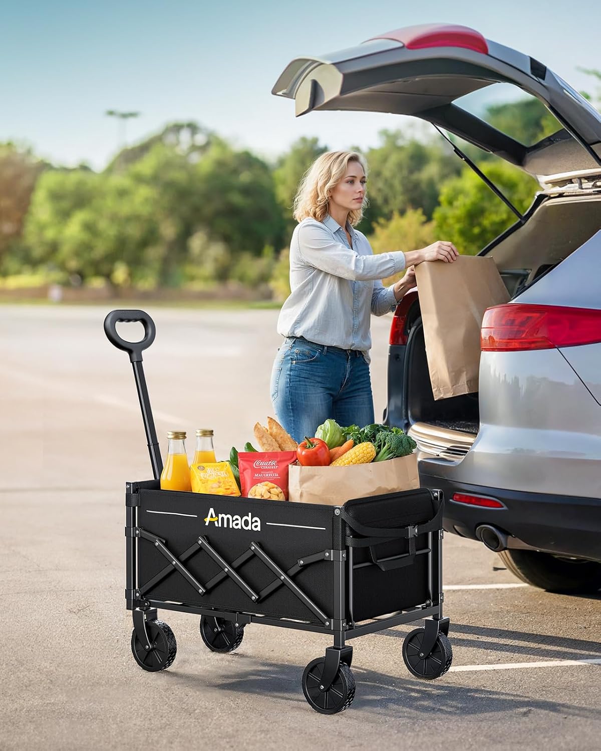 Faltbarer Bollerwagen, Schwarz