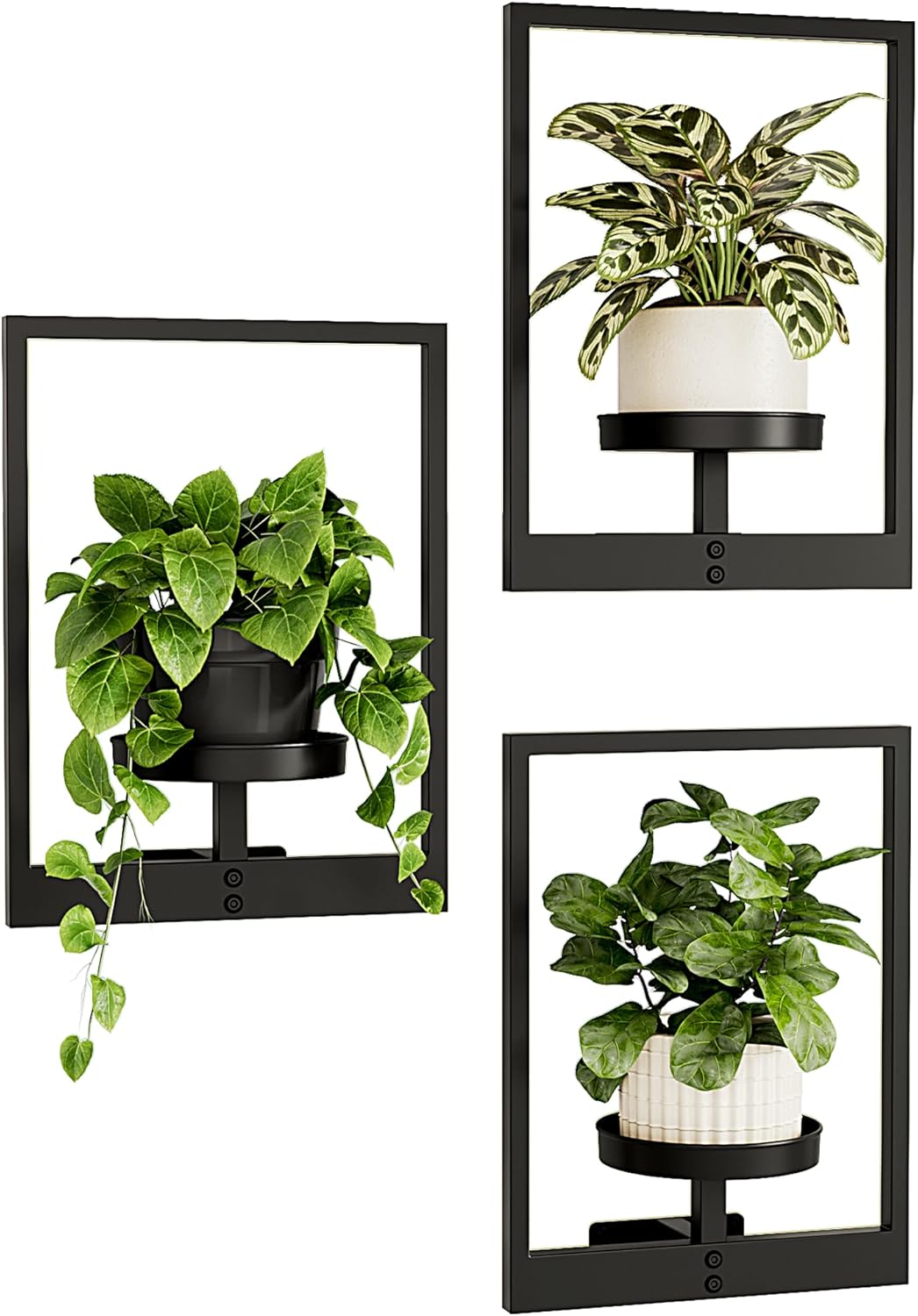3er-Set Wand-Blumenständer, 3 Set