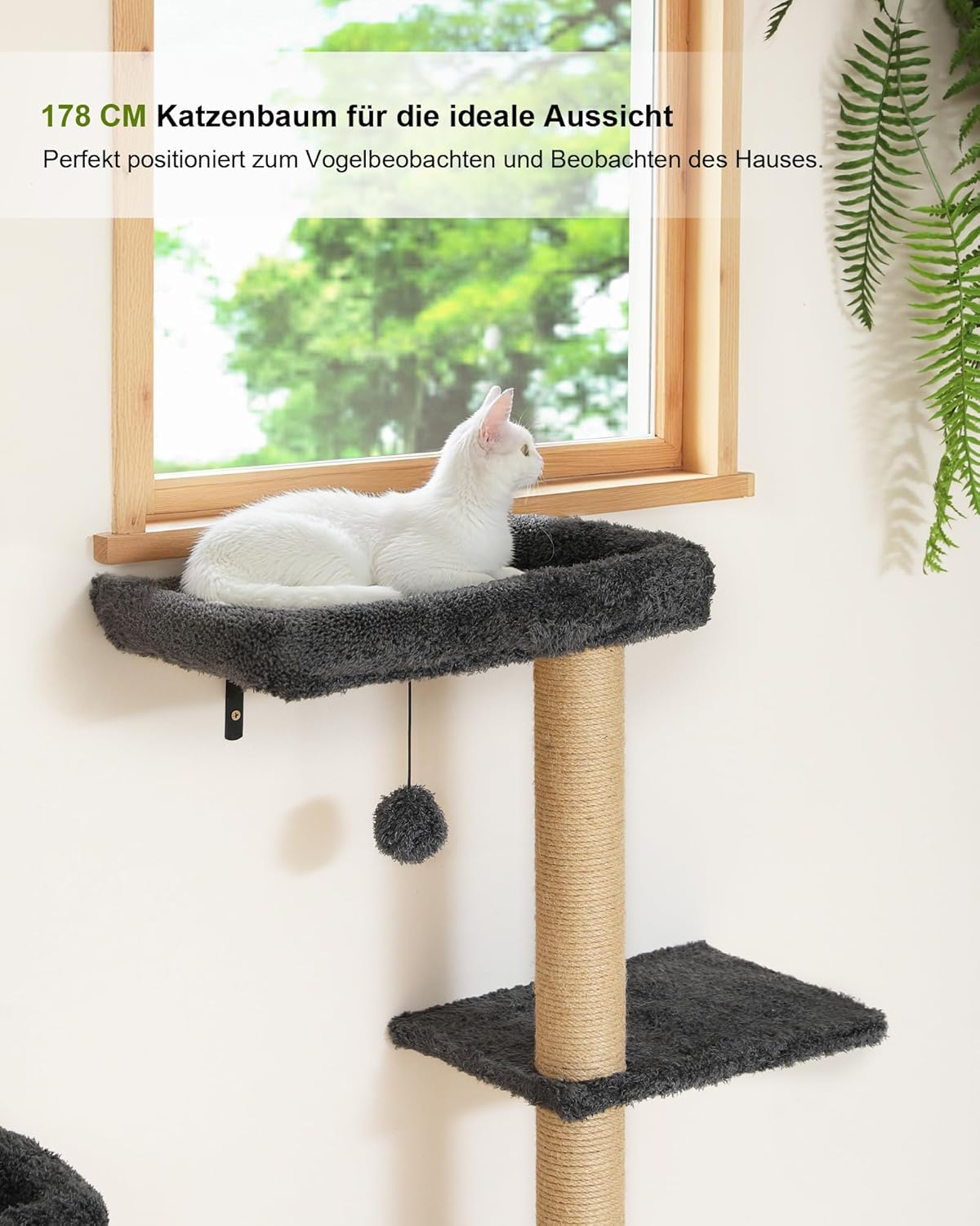 Katzen-Kletterwand, Grau