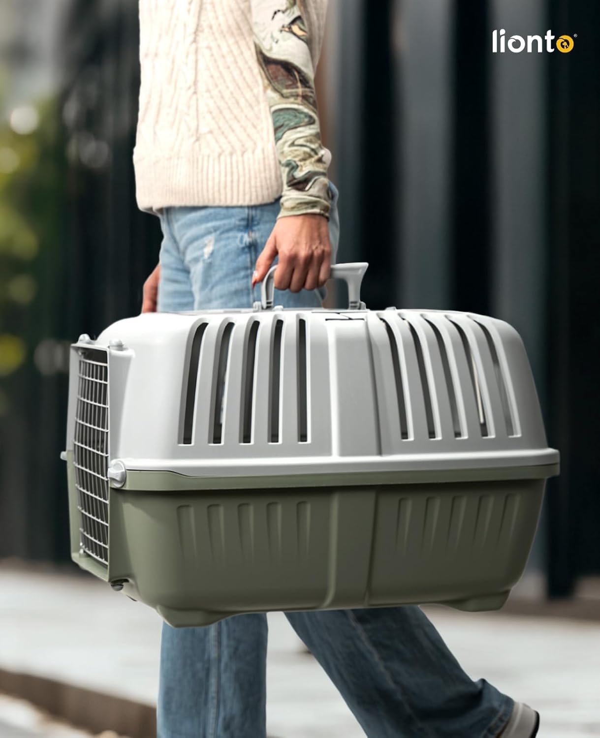 Hundetransportbox, Hellgrün