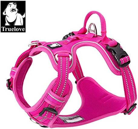 Truelove Hundegeschirr TLH56512, S, Fushcia