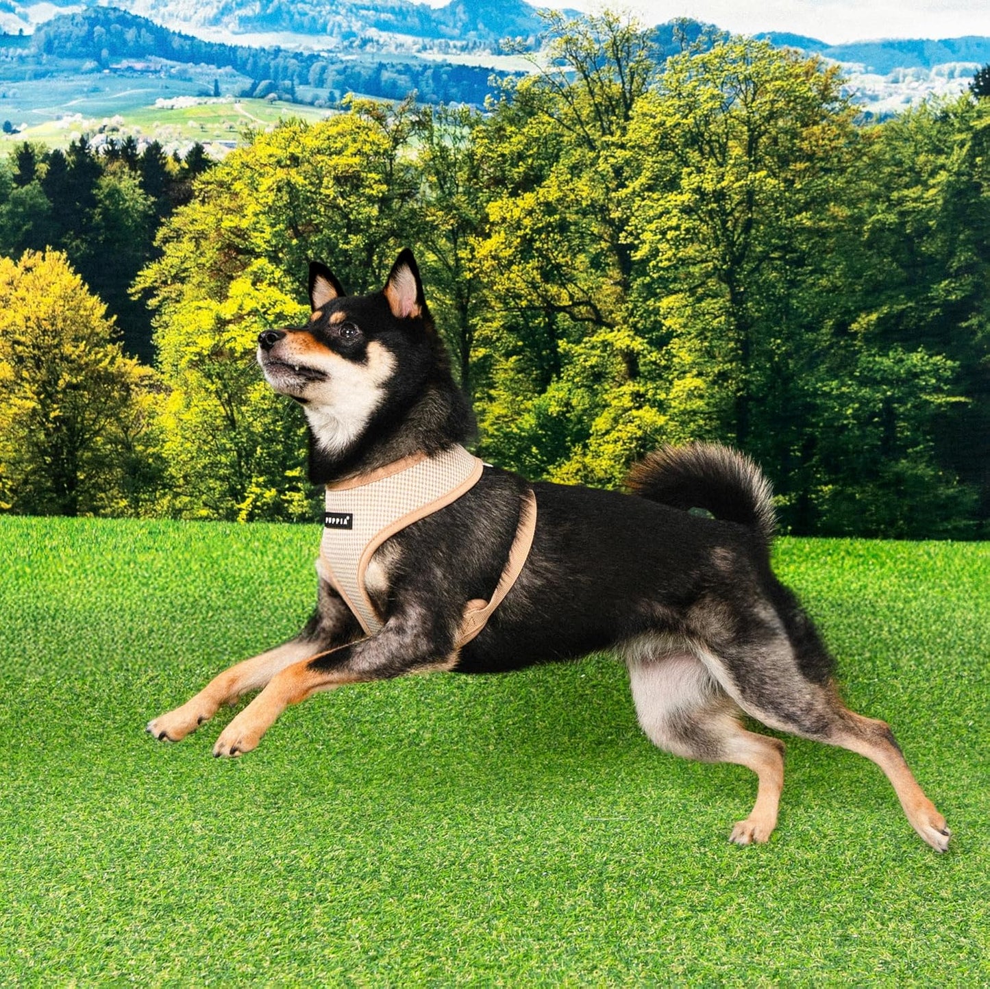Hundegeschirr mit Hahnentrittmuster, Beige Medium