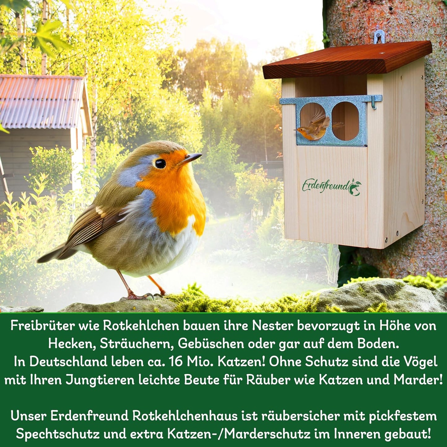 Räubersicherer Nistkasten für Rotkehlchen, Nistkasten Nischenbrüter räubersicher