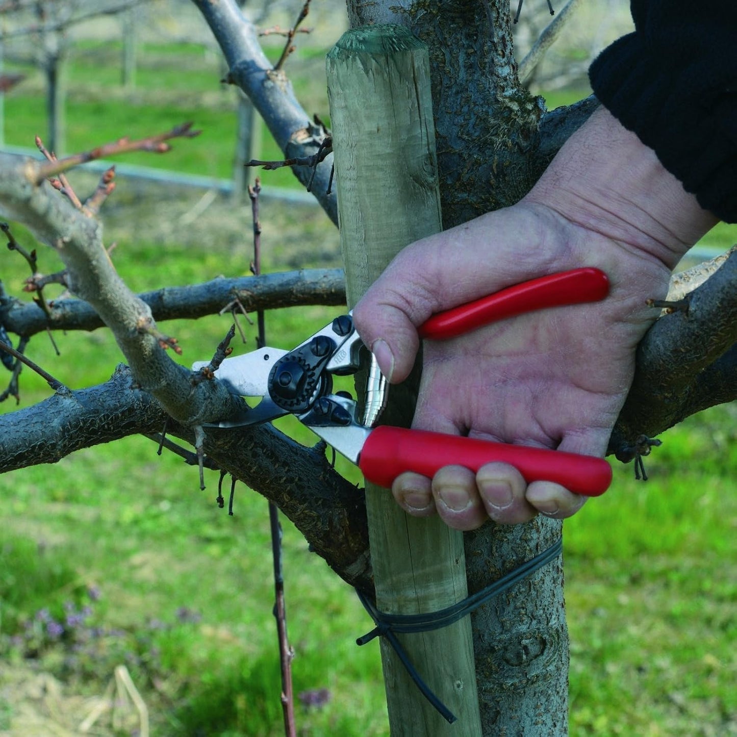 Garten-, Reb- und Baumschere, mit Standardgriff Single