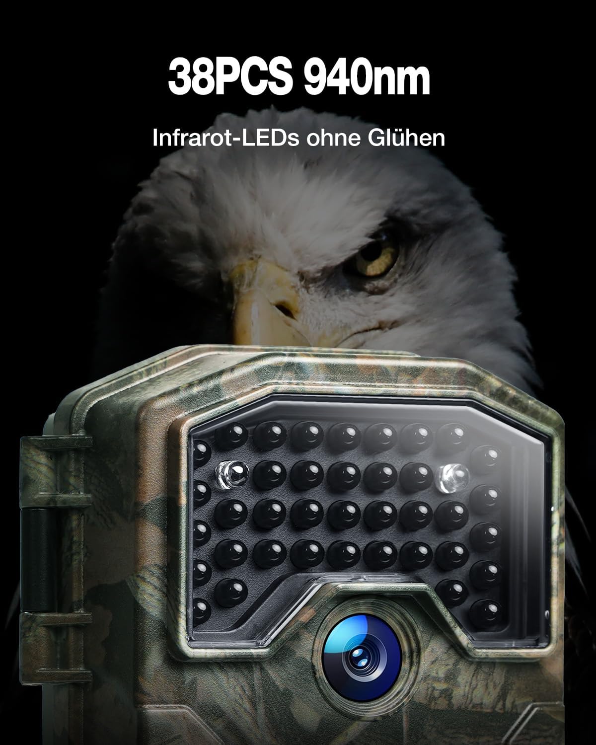 Wildkamera