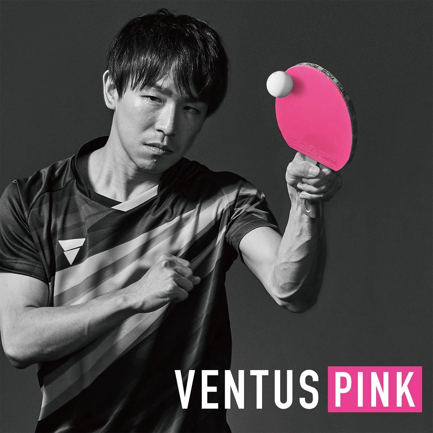 Ventus Limber - Tischtennisbelag 2,3 mm, pink 2,3 mm