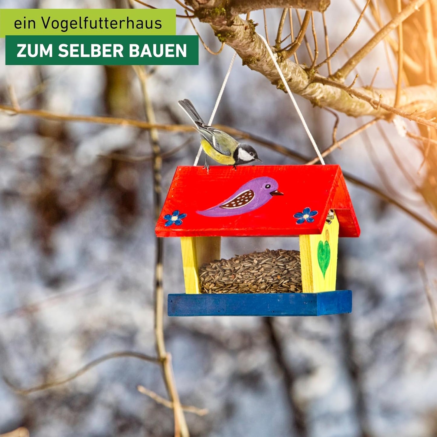 Woodpecker, Vogelhaus