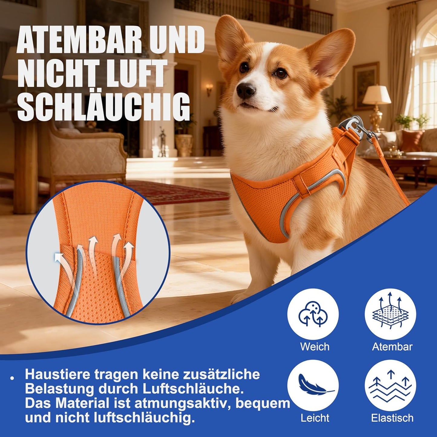 Reflektierendes Hunde- und Katzengeschirr-Set, Orange M（Halsu: 30-39cm, Brustu: 42-51cm）
