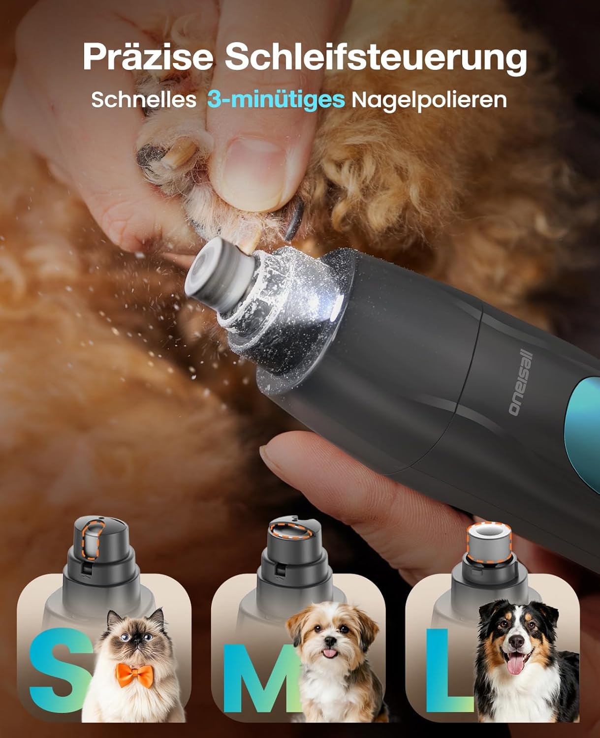 Schermaschine mit LED-Licht für Haustiere, Blau, 4-in-1