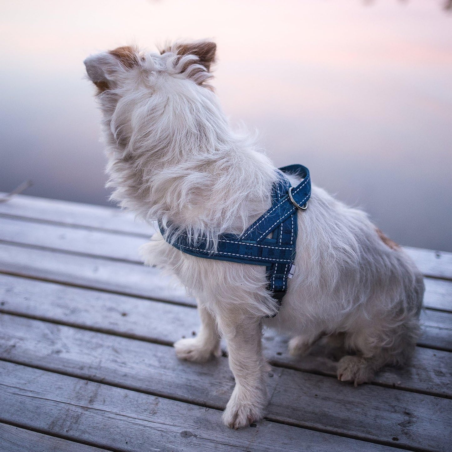 Gepolstertes Hundegeschirr, Fluss 32-35"