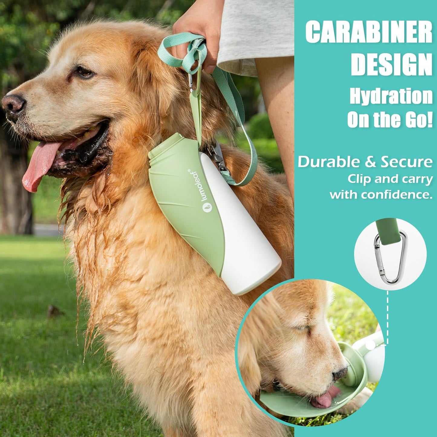 Isolierte Wasserflasche für Hunde, Grün 800 ml