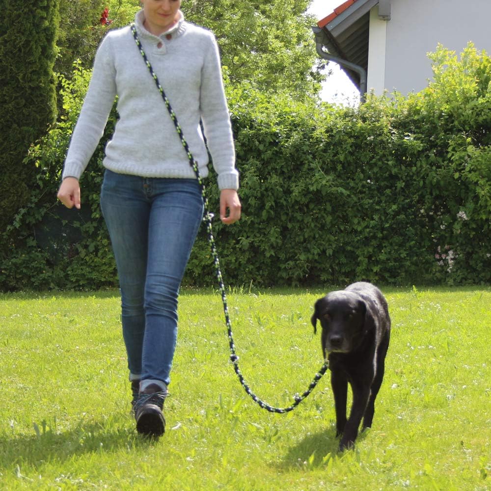 Verstellbare Hundeleine 2,80 m, 2,80m apfelgrün-tannengrün-schwarz-weiss