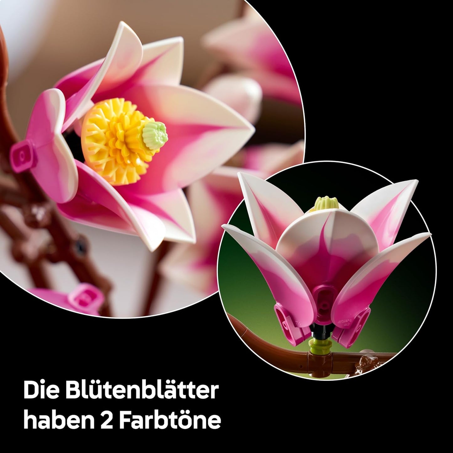 Magnolienzweige