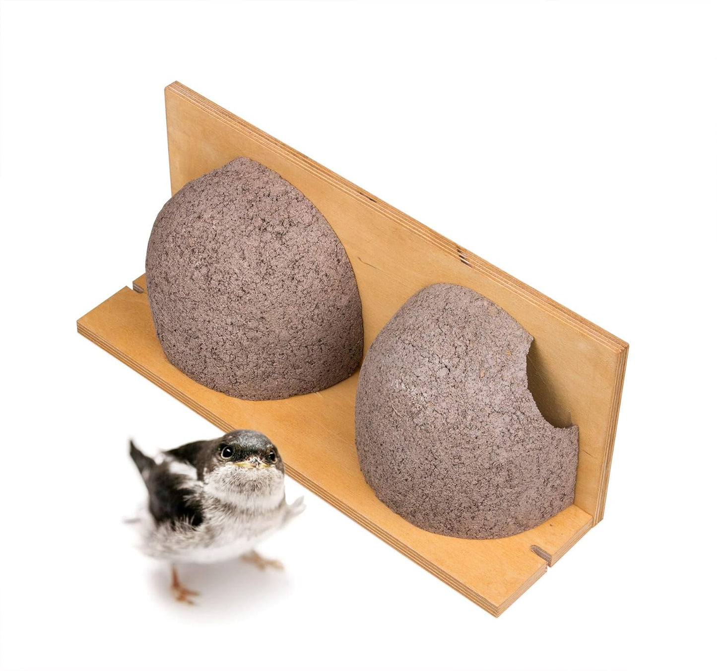Schwalbennistkasten Doppelnest Nisthilfe Holzbeton, 1 Stück