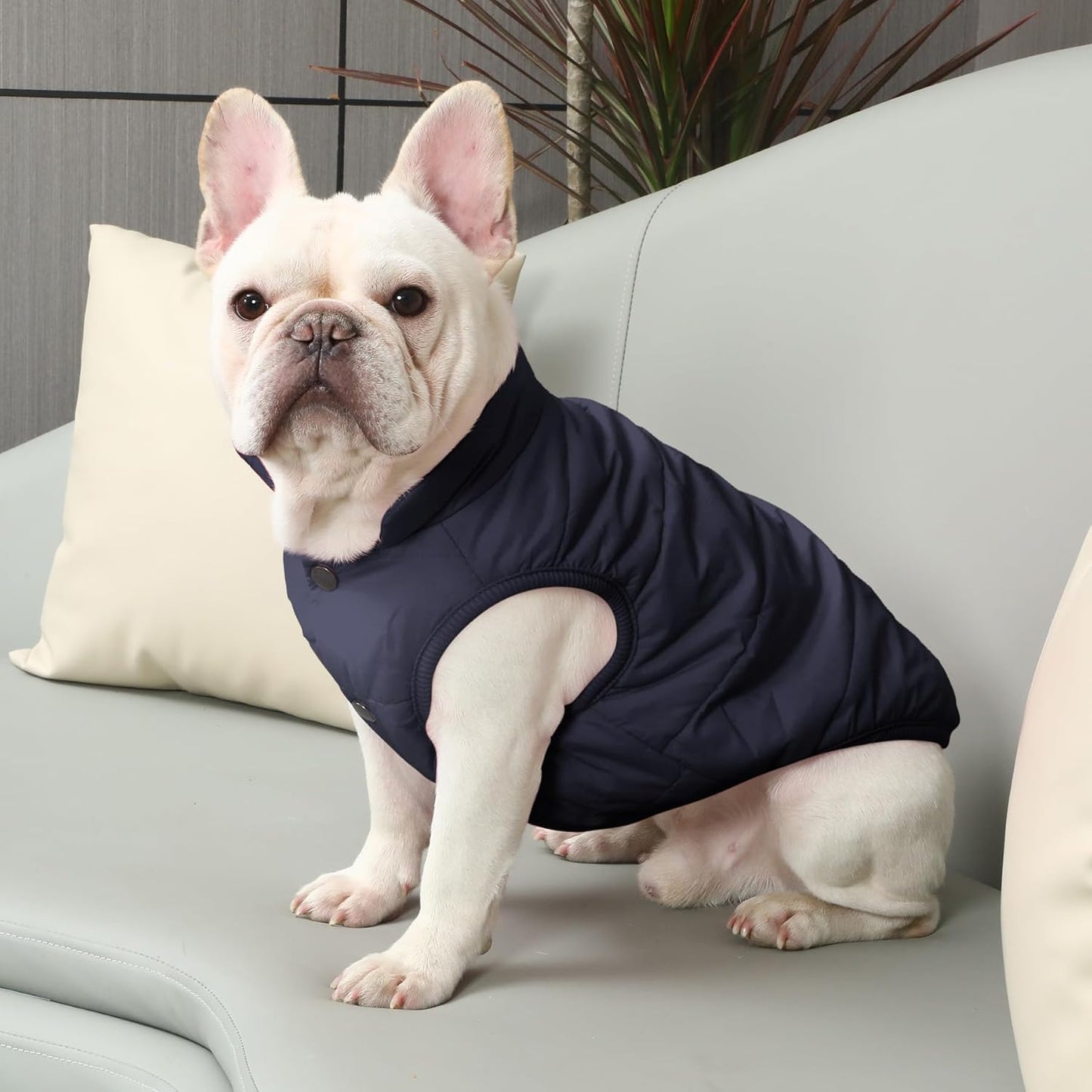 Mit Fleece gefütterte Hundejacke für Winter, M Blau