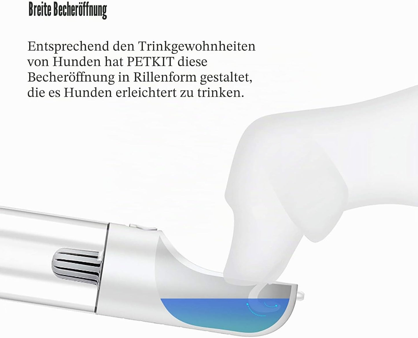 Hundetrinkflasche für unterwegs, Blau
