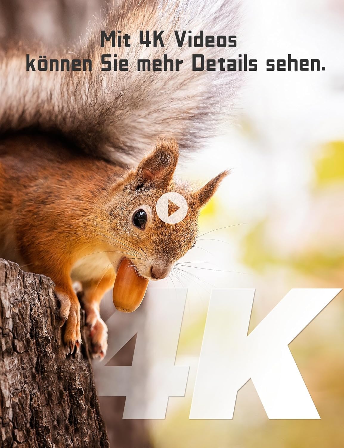 Wildkamera mit 4K HD und Bewegungsmelder