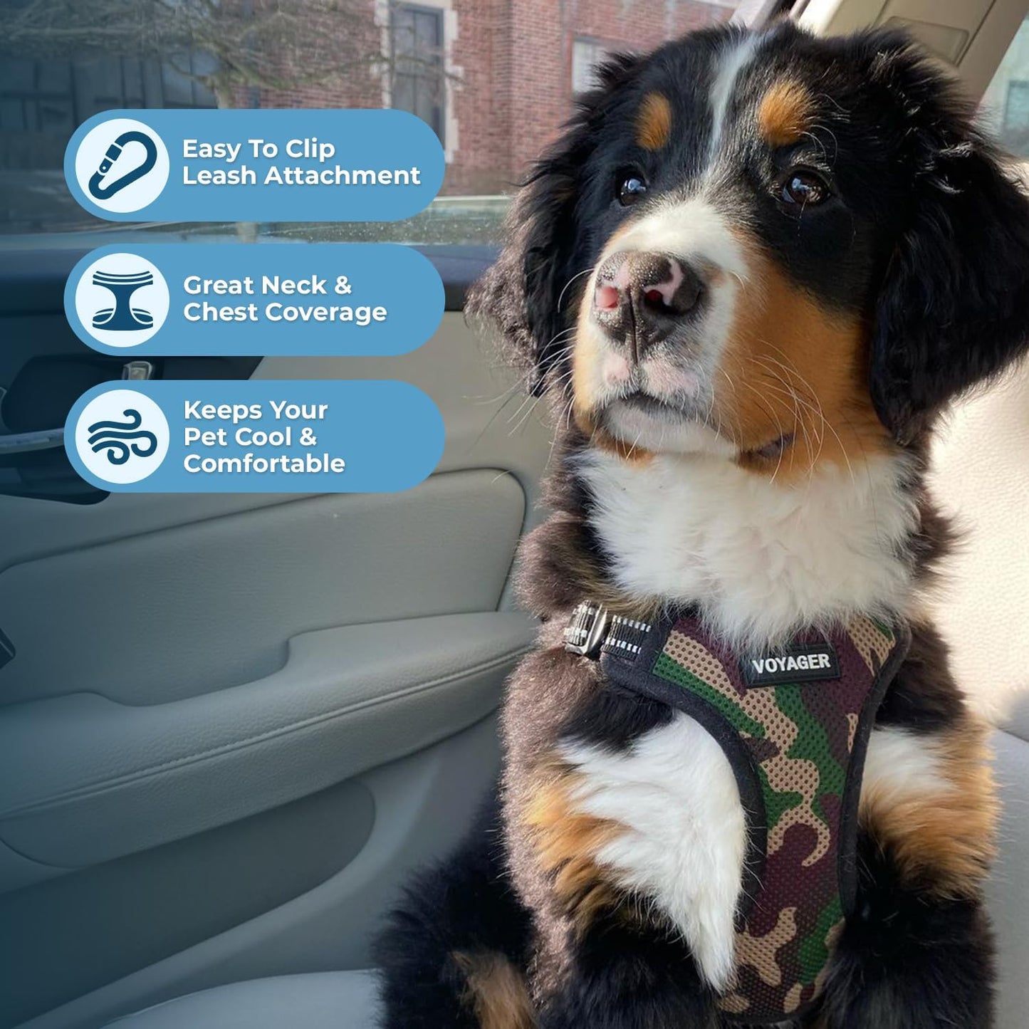 Verstellbares Hundegeschirr mit Leine, Army Base (Leine Bundle) / XS (Chest: 13 - 16")