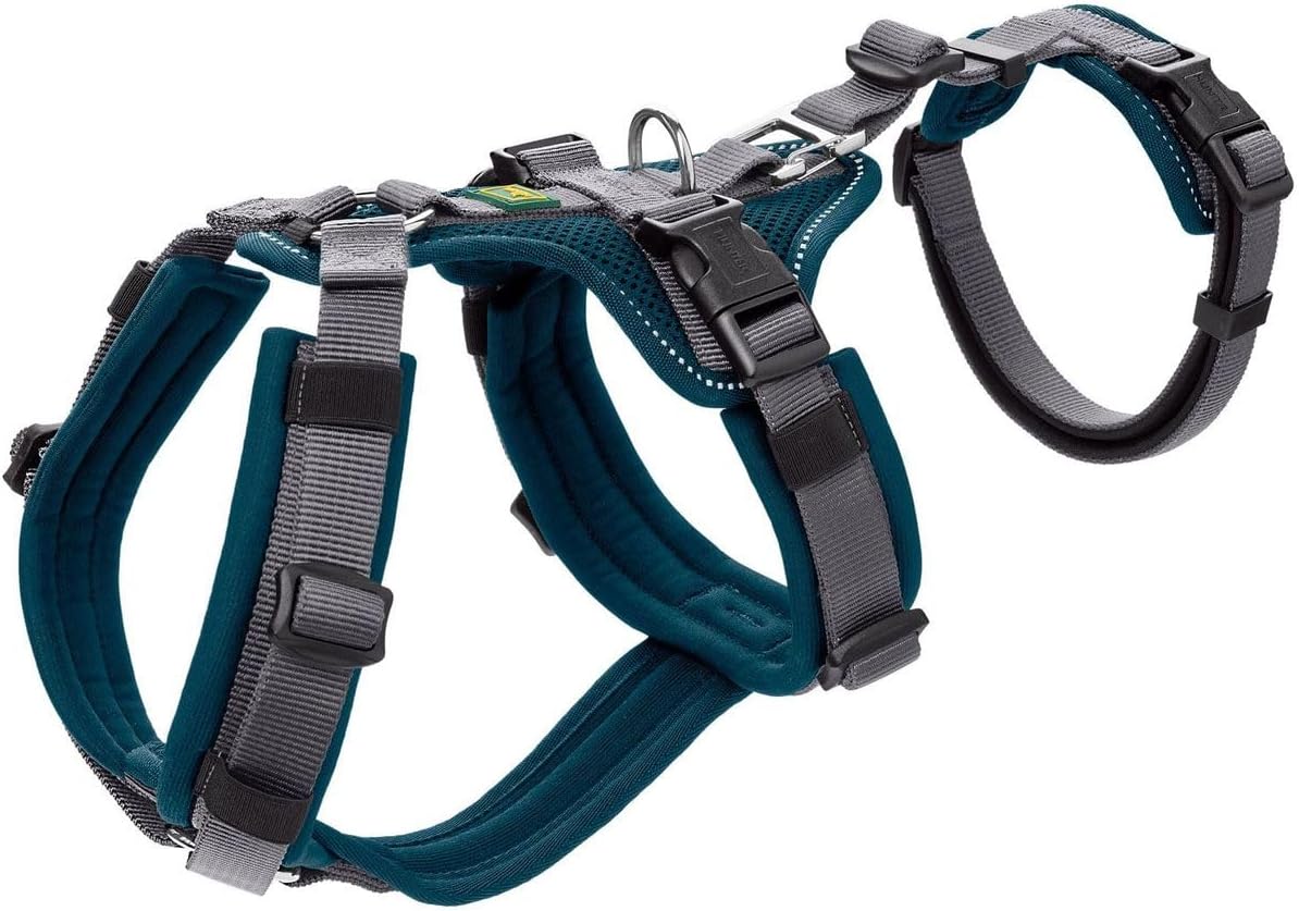 Sicherheitsgeschirr XS-S, XS-S petrol/grau