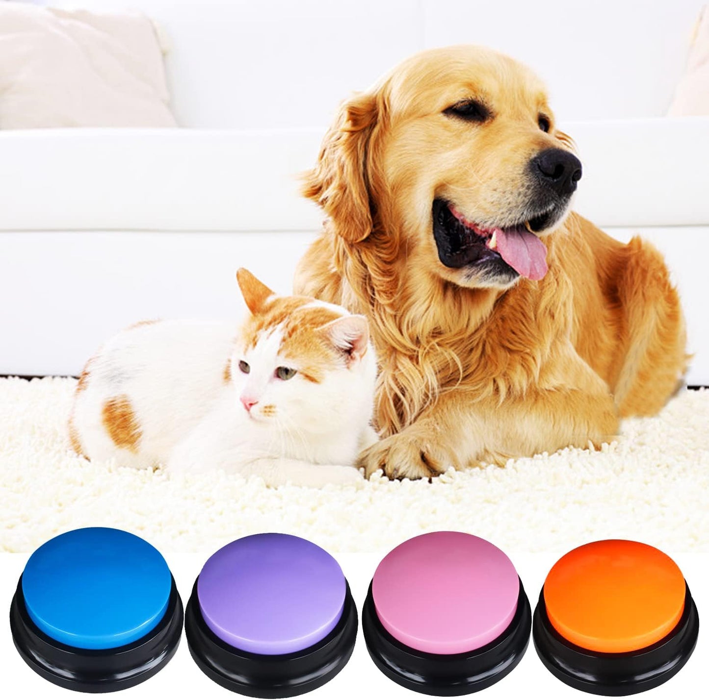 4-teiliges Recordable Answer Buzzer Set mit Aufnahmefunktion