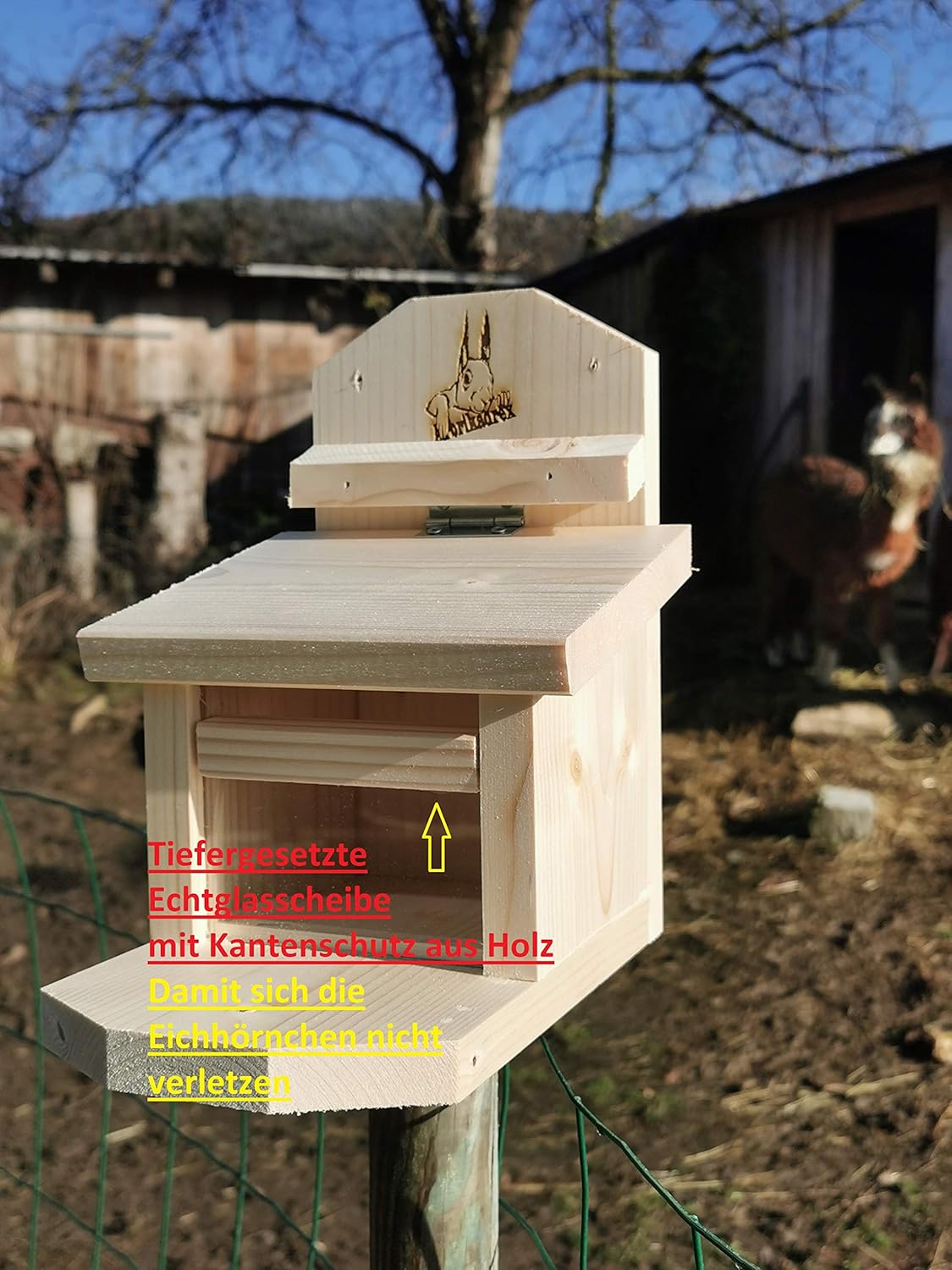 Eichhörnchen Futterhaus, Natur unbehandelt