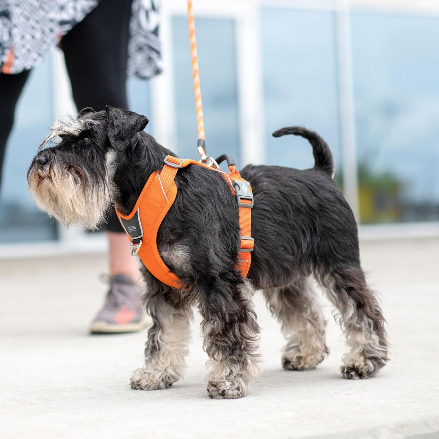 Comfort Walk Pro Hundegeschirr, L Hunting Green