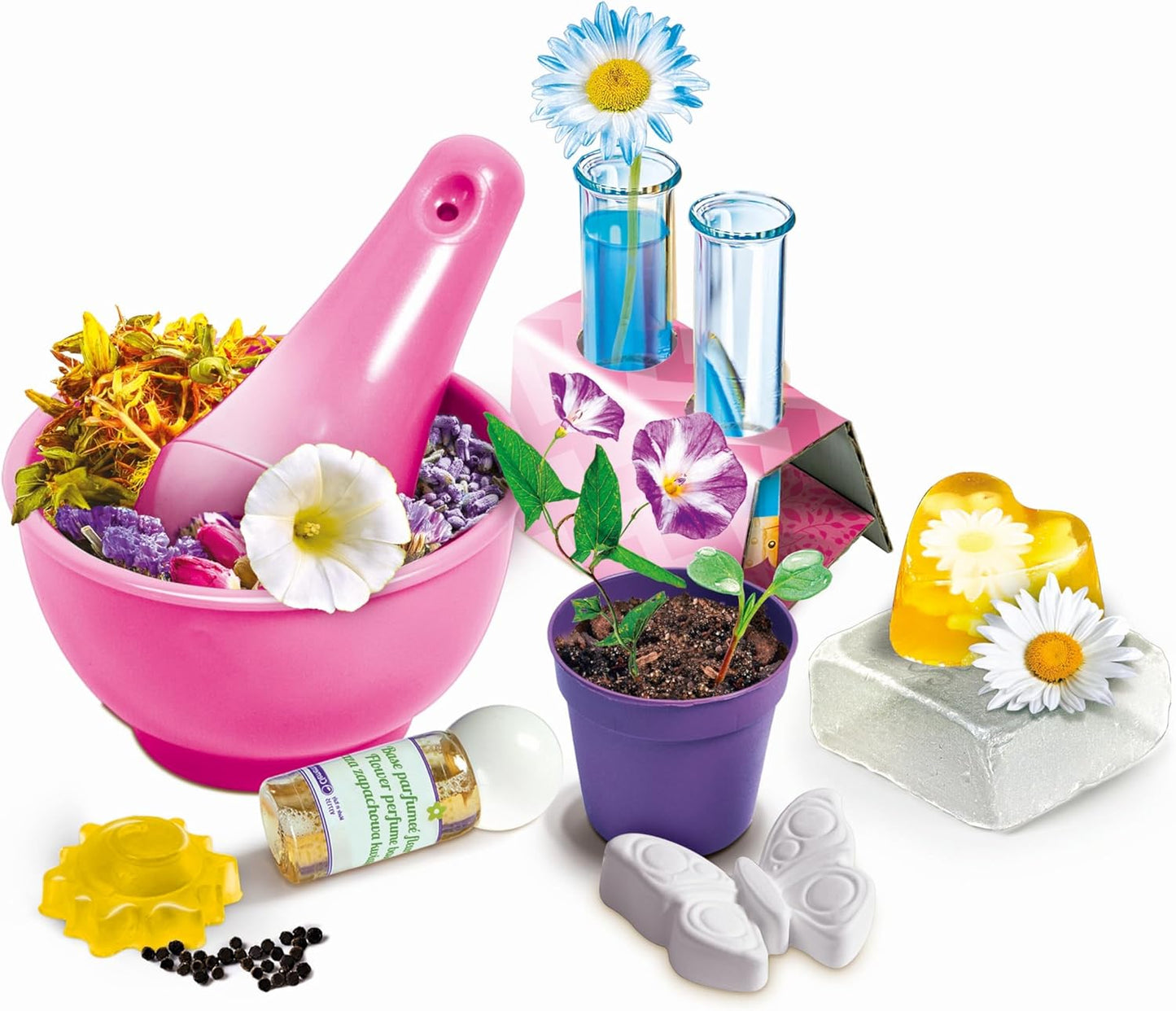 Experimentierkasten Blütenträume