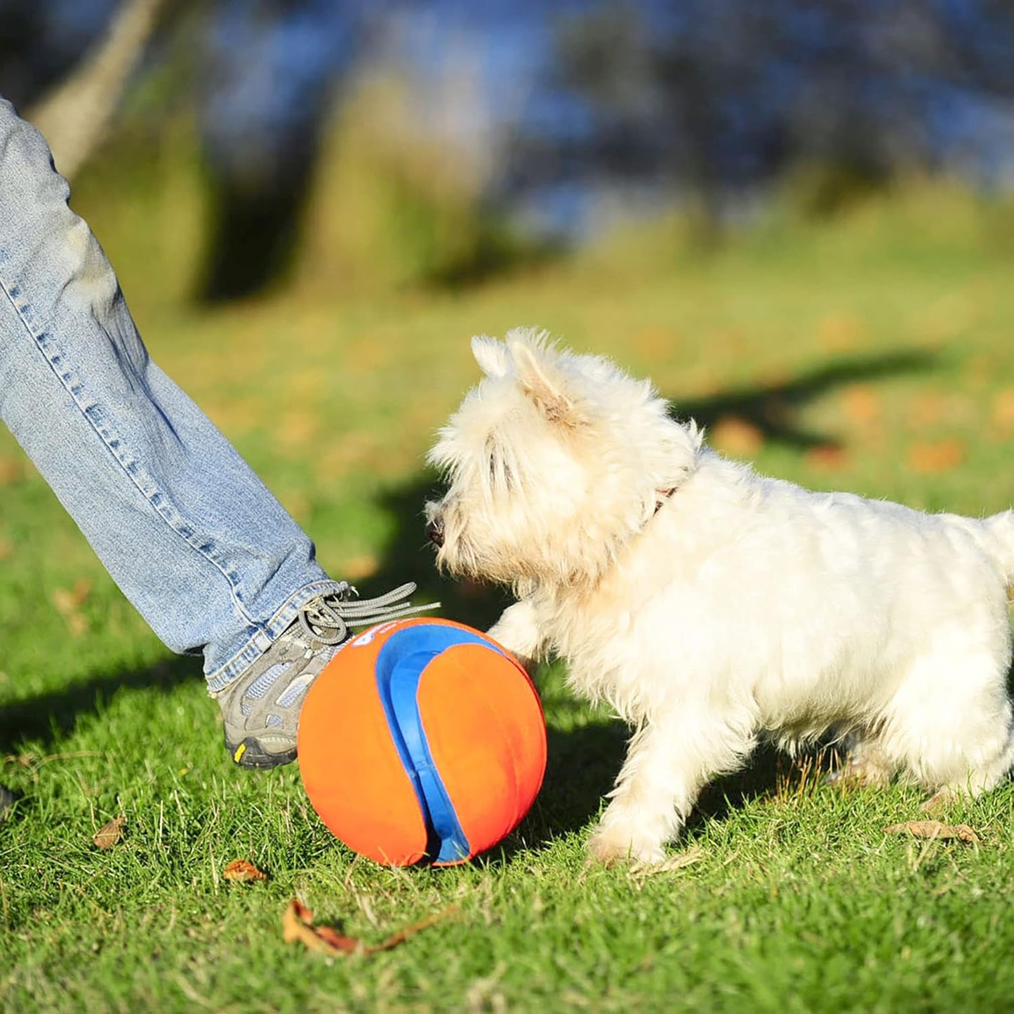 Kick Fetch Hundeball, Mehrfarbig/Meereswellen (Ocean Tides) Large