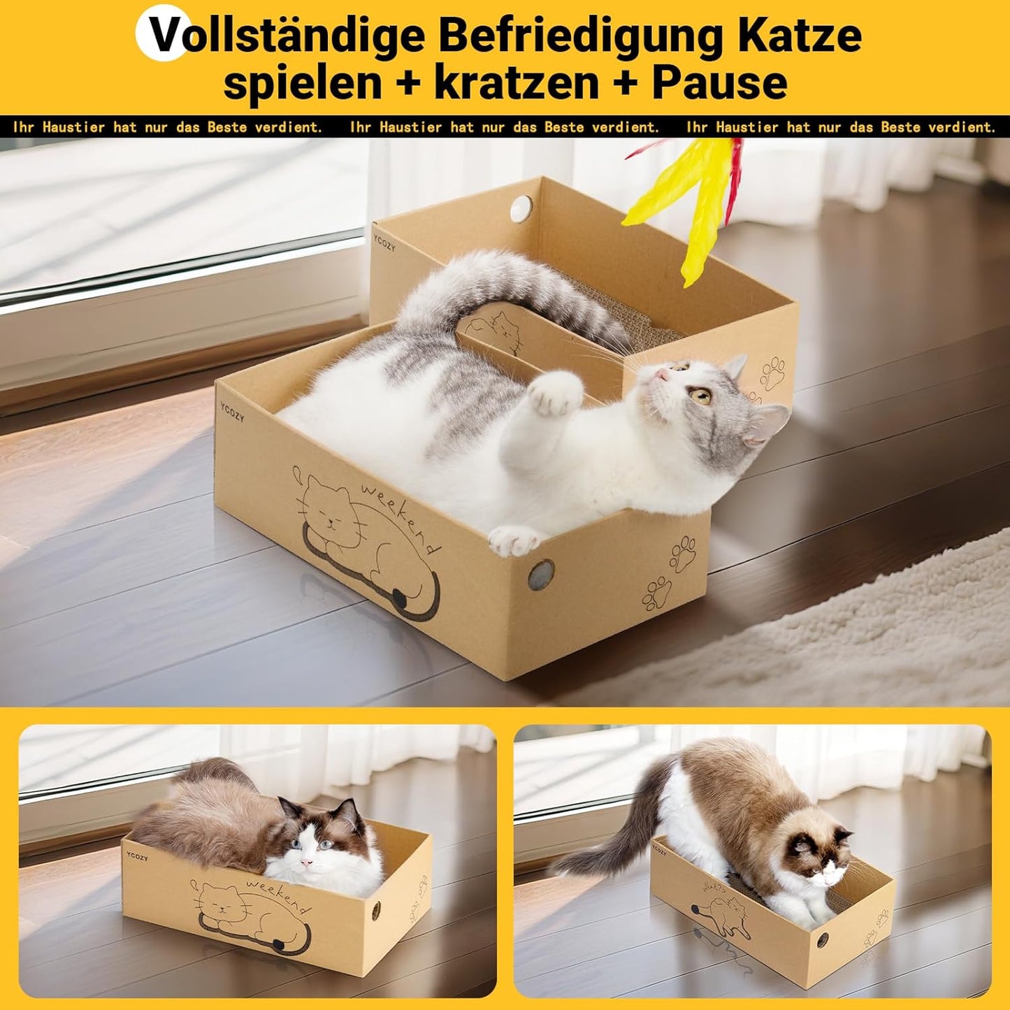Kratzbrett-Set für Katzen, 2 Box