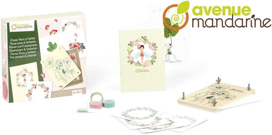 Blumen- und Kräuterpresse Kreativset, Blumenpresse und Herbarium