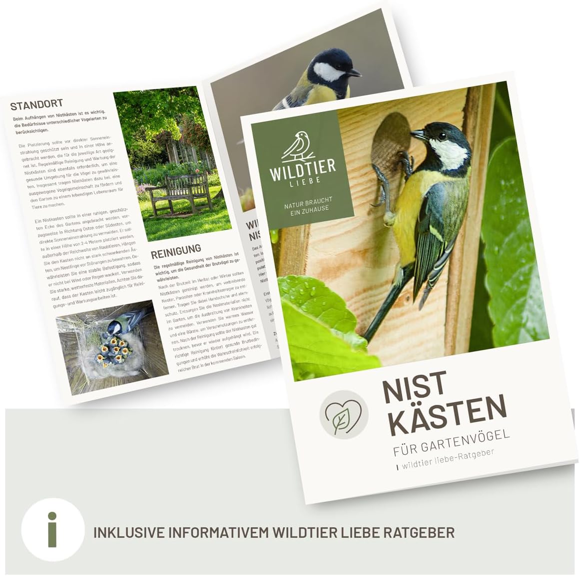 Nistkasten für Stare, Nistkasten für Stare