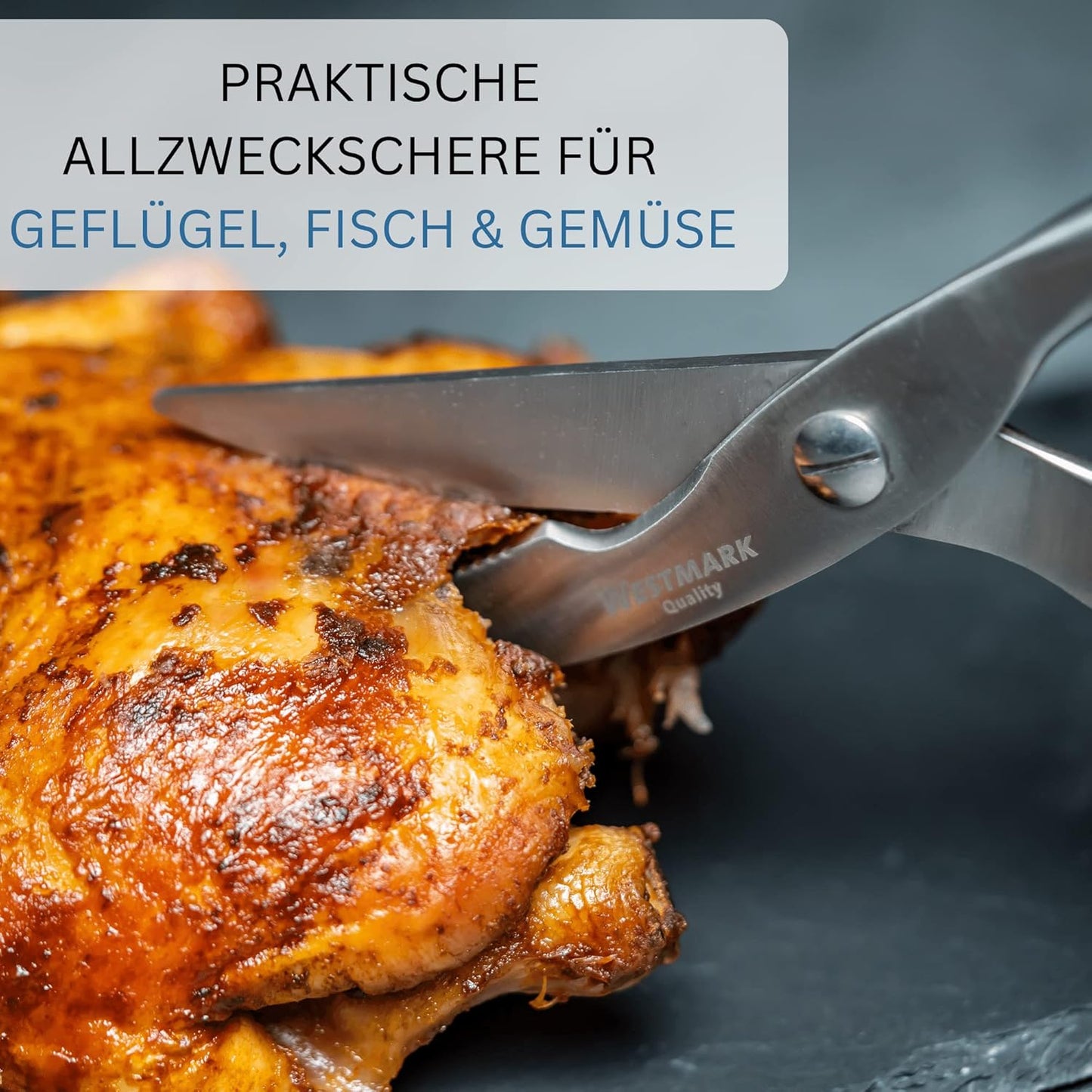 Geflügelschere mit Marinierpinsel, Modern, Set 2tlg.