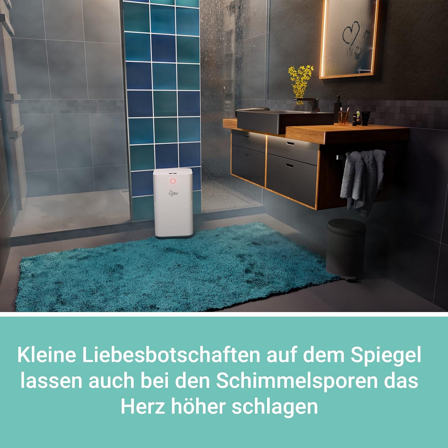 DryFix 12 EQ - Luftentfeuchter für Räume bis 34 m², DryFix 12 EQ