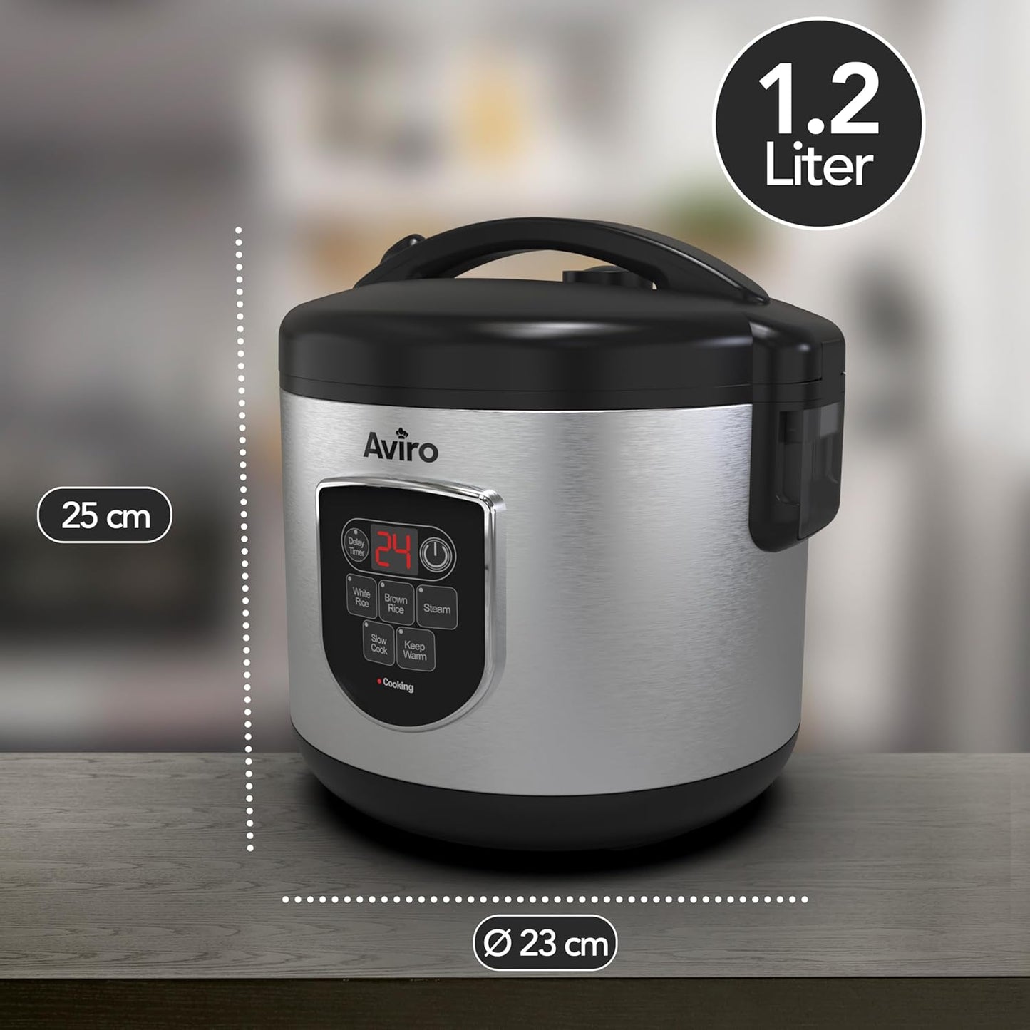 Reiskocher & Slow Cooker