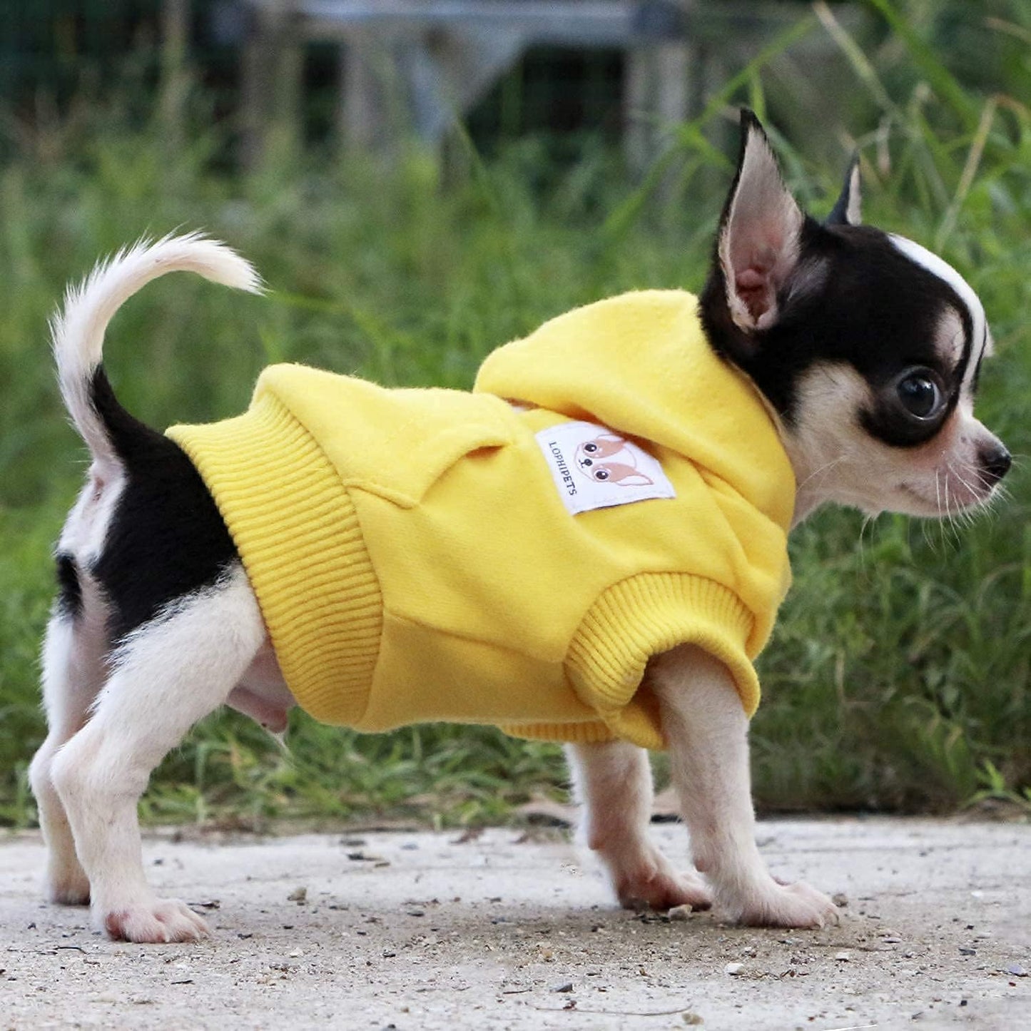 Hunde Hoodie für kleine Hunde, XX-Small (Pack of 1) gelb