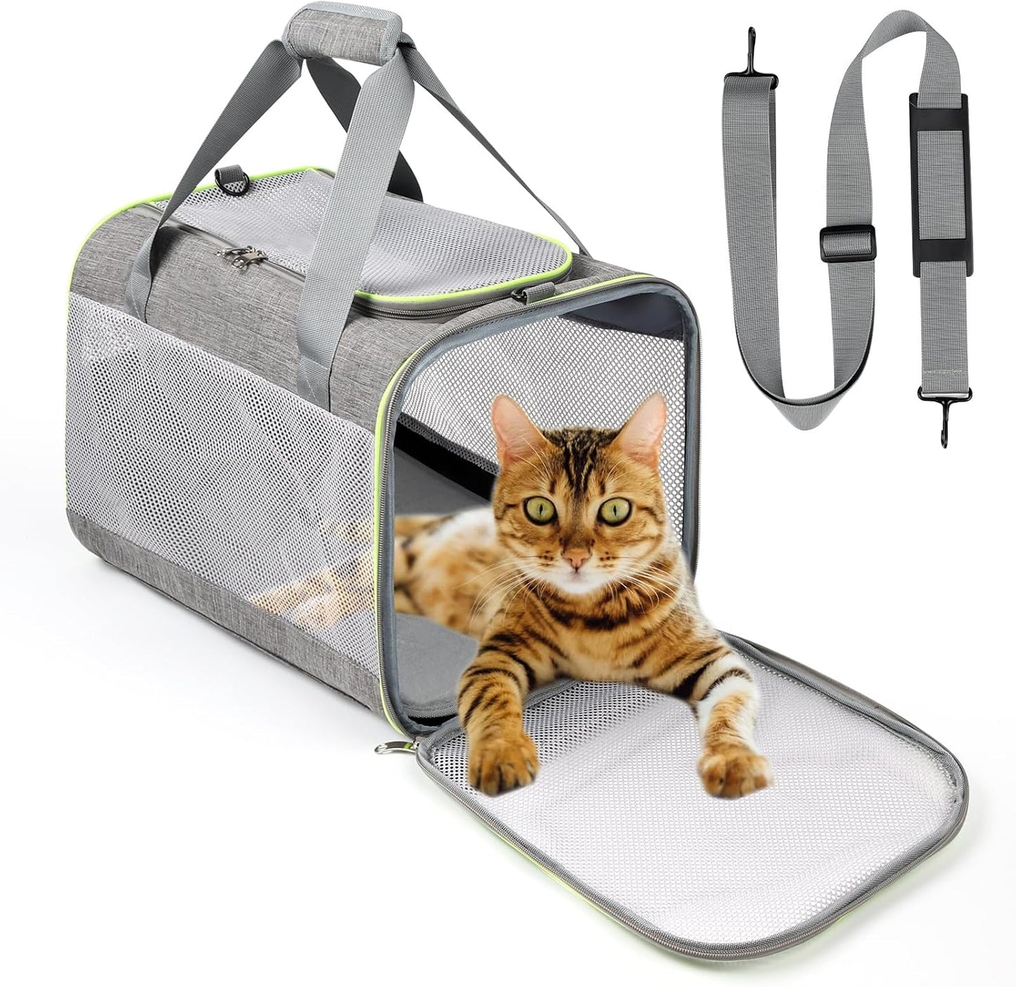 Transportbox, Grau