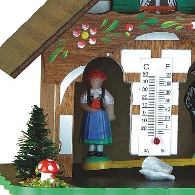 Wetterhaus Schwarzwald TU 817