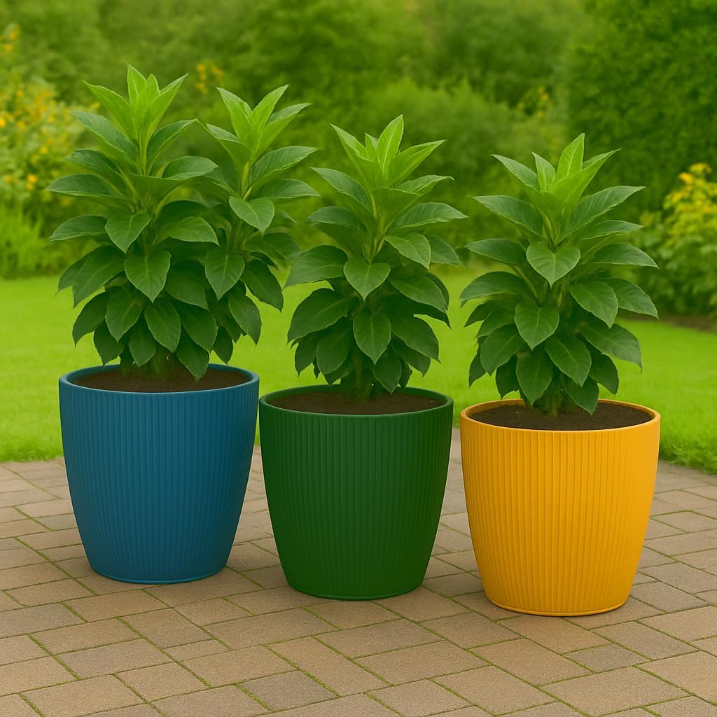 Blumentopf-Set, Ø 18 cm (7.08 inch) Avocado