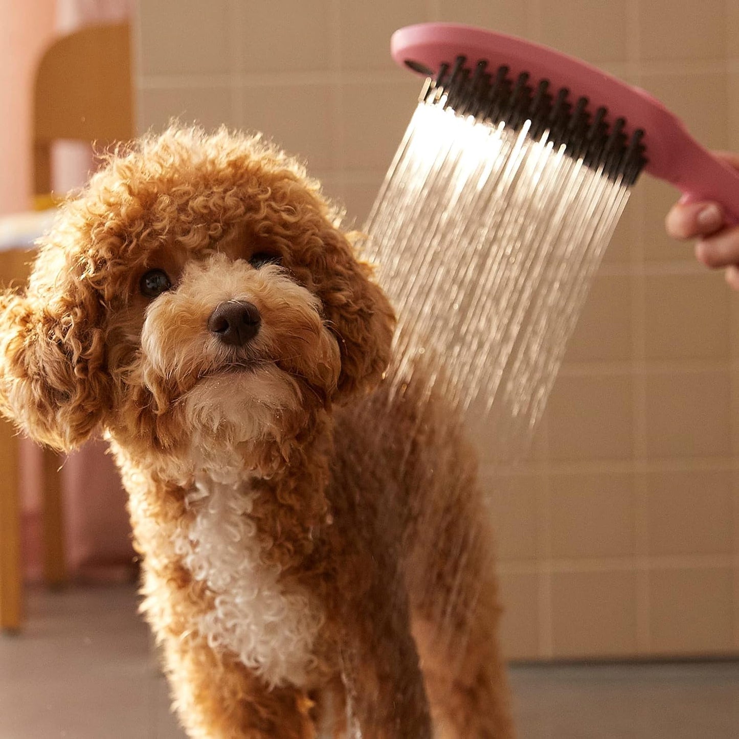 DogShower, Pink / Hundebrause