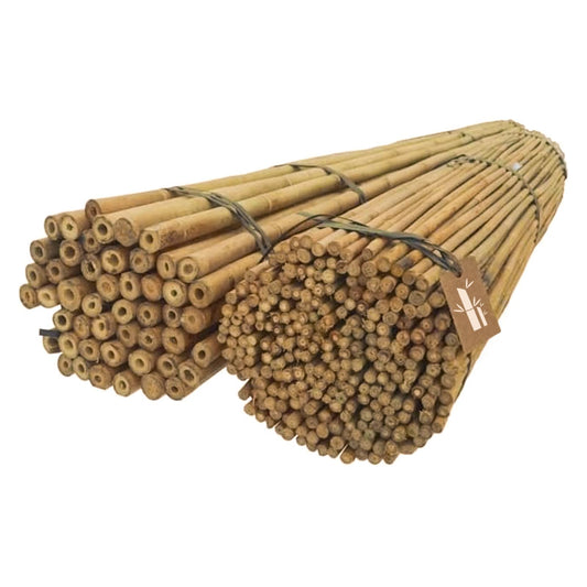 10-teiliges Bambus-Pflanzenstützen-Set, 10 150 cm x 24-26 mm