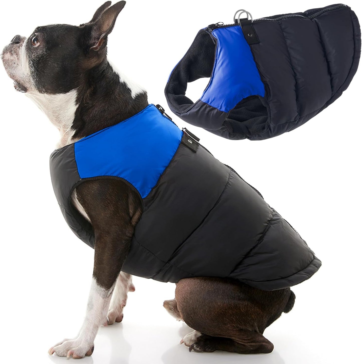 Gepolsterte Hundejacke mit Reissverschluss und Leinen-Ring, Blau X-Small chest (13")